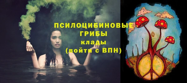 экстази Краснослободск