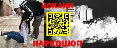 стафф Гай