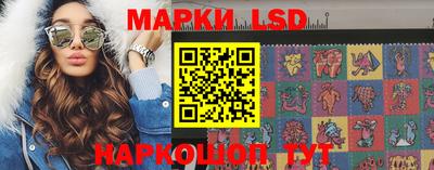 стафф Гай