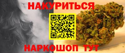 стафф Гай
