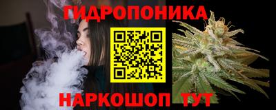 стафф Гай