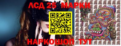 стафф Гай