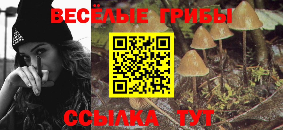 Ковров  Псилоцибиновые грибы ЛСД  купить   Вход с VPN 