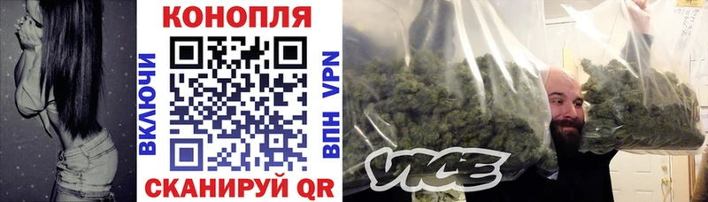 дарнет шоп  Ковров  Канабис сатива 